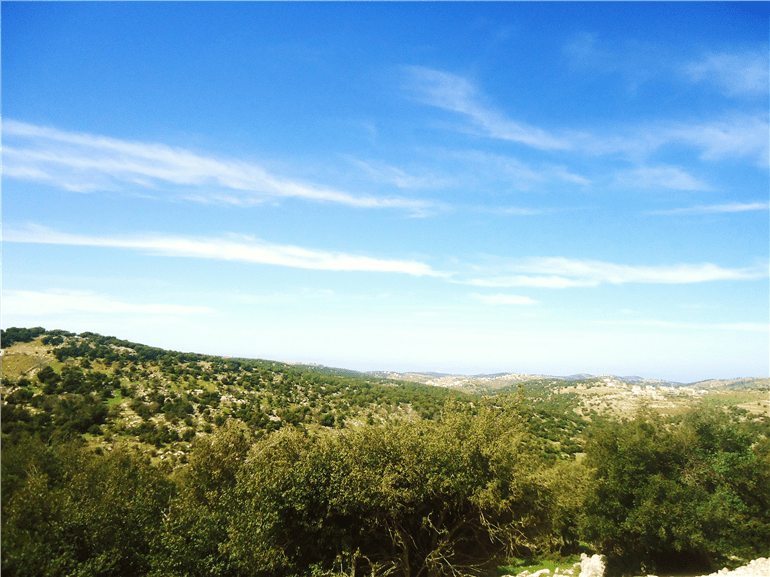 الربيع في ارحابا