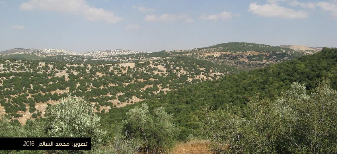 مناظر محيطة ببلدة ارحابا
