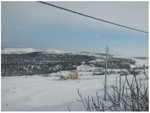 ثلوج ارحابا